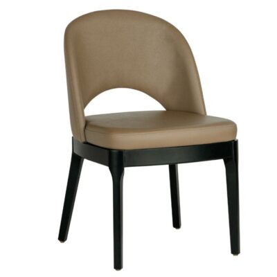 Lily Modern Beechwood Chair in Black Finish