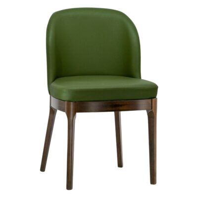 Grace Modern Beechwood Chair in Brown Finish