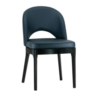 Lily Modern Tufted Beechwood Chair in Black Finish