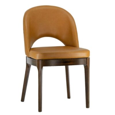 Lily Modern Tufted Beechwood Chair in Brown Finish